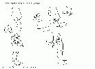[img]